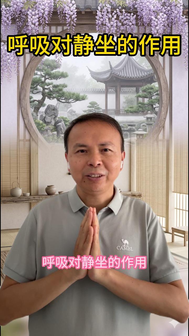 呼吸对静坐的作用 视频原始封面